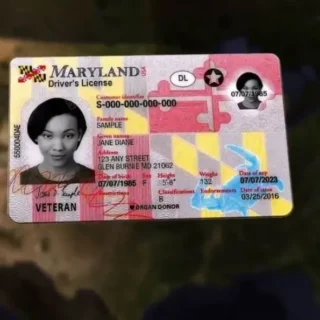 Buy Genuine Maryland Driver License and ID Card